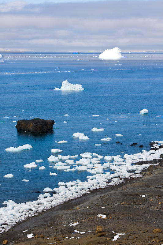 Icebergs And Seastacks